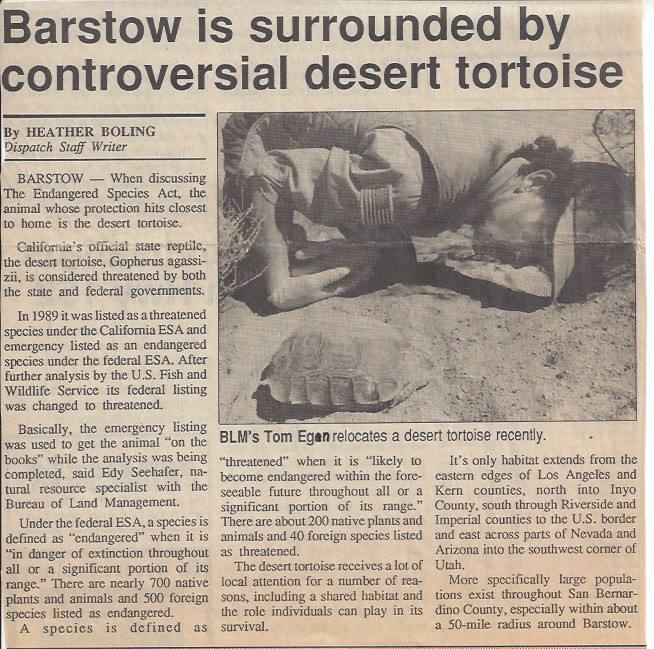 Celebrating the 25th Anniversary of Protecting California’s Desert